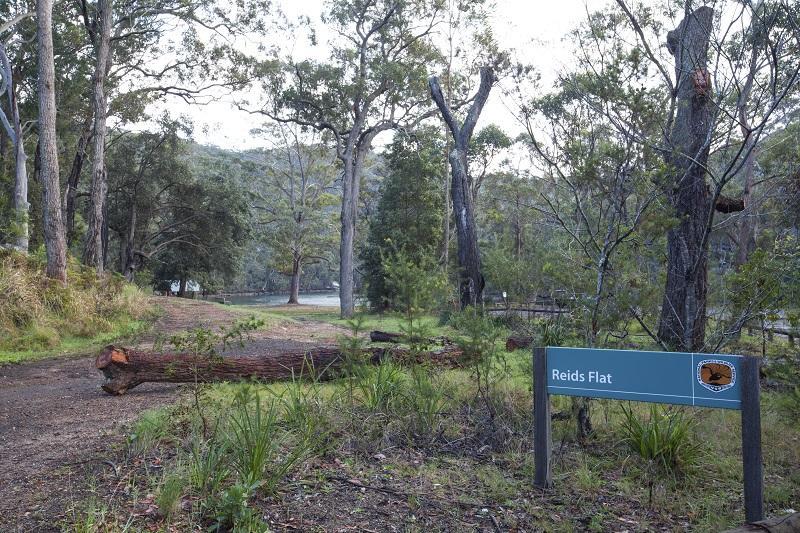 Royal National Park Cottages Engadine Exterior foto